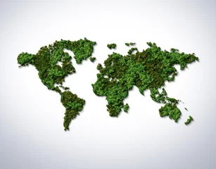 Tuinposter Green World Map- 3D tree or forest shape of world map isolated on white background. World Map Green Concept. © DOERS