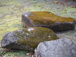 石と苔