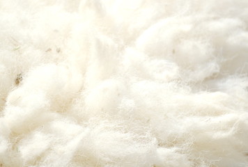 The abstraction of the furry fur surface