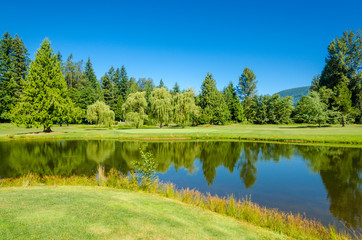 Golf course with gorgeous pond and fantastic forest view.