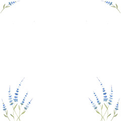 Background of blue delicate watercolor flowers on a white background. Use for valentines day, weddings, invitations and birthdays