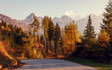 Wonderful Nature Landscape. Autumn in the Julian Alps, asphalt road in the colorful forest, Slovenia.