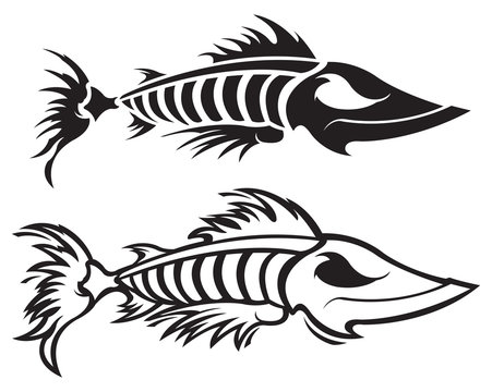 Fish skeleton black and white