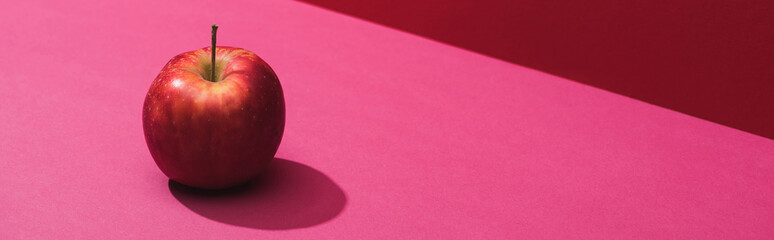 fresh juicy apple on red and pink background, panoramic shot