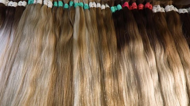 Natural female hair, beautiful female hair. Long hair extensions in the salon