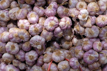 Garlic, spices and Thai herbs. Seasonal agricultural products in Thailand are sold in agricultural markets. Garlic is often used as an ingredient and flavored in food.