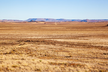 Fototapeta na wymiar Farm landscapes of the Karoo