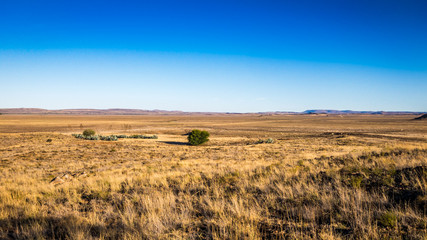 Fototapeta na wymiar Farm landscapes of the Karoo