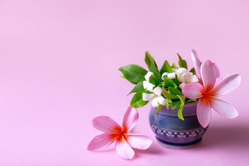 Obraz na płótnie Canvas Frangipani pink flowers and jasmine in a small ceramic cup on the pink background. Free copy space.