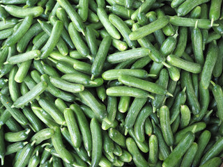 Full frame shot of fresh Holland Cucumbero for sale in local market. Holland Cucumber background, farmer market.