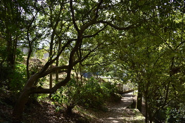 sendero