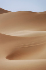 Fototapeta na wymiar Desert dune in the enening sun in Abudhabi, UAE.