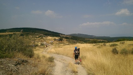 Obraz premium Pilgrims walking on the way of St James, the Pilgrimage of Compostela, camino de santiago, Spain. Fields of wheat 
