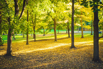 Mont Royal in Autumn, Montreal, Canada