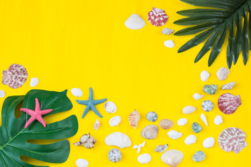 palm leaf, monstera leaf, shells, starfish on a yellow background