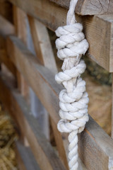 White lead rein rope tied up on stable door