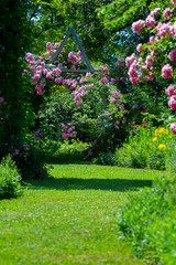 Idyllic rose garden
