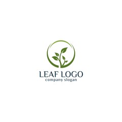 Leaf Logo design concept vector illustration template download