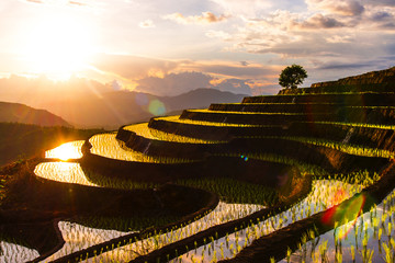 Photographie d& 39 une rizière en terrasses par temps nuageux et pluvieux dans le district de Mae-Jam, dans la province de Chiang Mai, en Thaïlande.