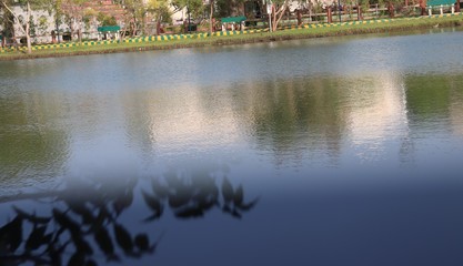 Fototapeta na wymiar pond with reflection of trees