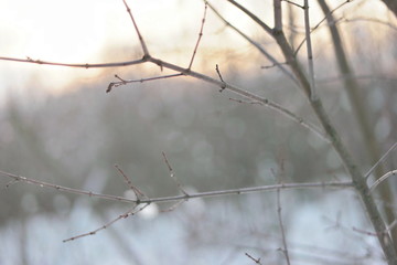  sunset and white snow