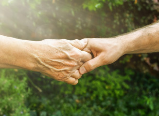 Fototapeta premium Senior and young hands outside closeup. Elderly woman and young man holding hands together, green blurred background, sunlight. Love, warmth, take care concept, Valentines, mothers day, donate, help.