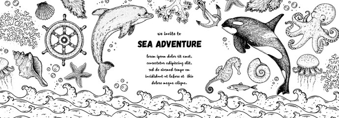 Underwater world hand drawn collection. Sketch illustration. Seaweed, coral, seashells, starfish, jellyfish, fish, octopus, dolphin, whale illustration. Undersea world collection. Nautical set. © DiViArts