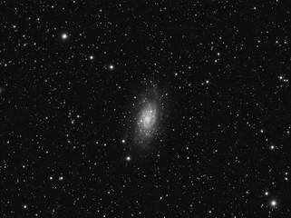 Deep sky object, NGC 2403 intermediate spiral galaxy in the constellation Camelopardalis against night starry sky
