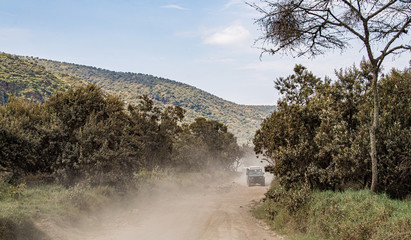 travel by jeep safari game drive