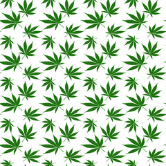Seamless vector pattern. Background texture in geometric ornamental style. Green leaves of marijuana on a white background.