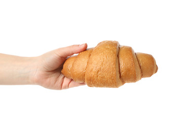 Female hand holding croissant, isolated on white background