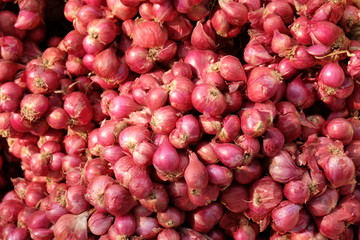 Onions, spices and Thai herbs Seasonal agricultural products in Thailand are sold in agricultural markets. Onions are often used as an ingredient and flavored in food.