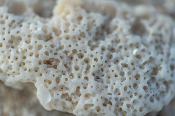 Marine Stone Pattern