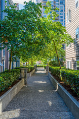 Obraz premium Modern apartment buildings in Vancouver, British Columbia, Canada.