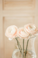 Ranunculus