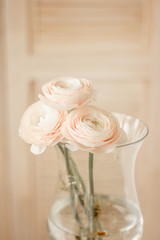 Ranunculus