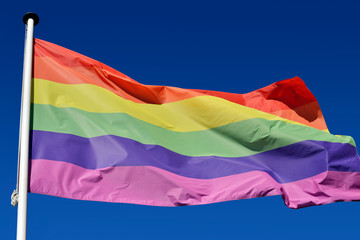 Rainbow flag waving in the wind.
