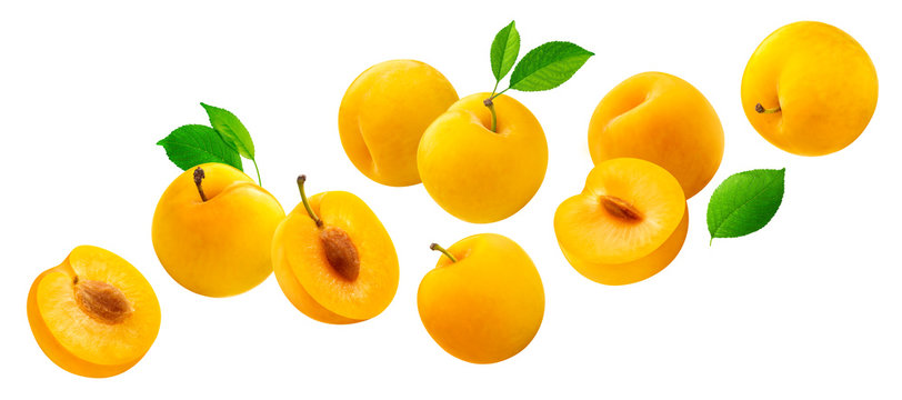 Falling yellow plums with leaves isolated on white background