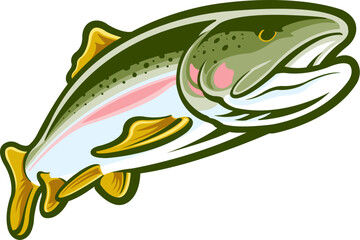 Rainbow trout