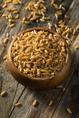 Dry Brown Organic Khorasan Wheat