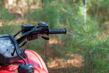 Green pine tree background with copy space, a handlebar of a red four wheel ATV in the forest ~DIRT~