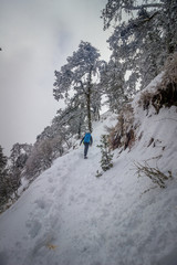 Man walking in the snow