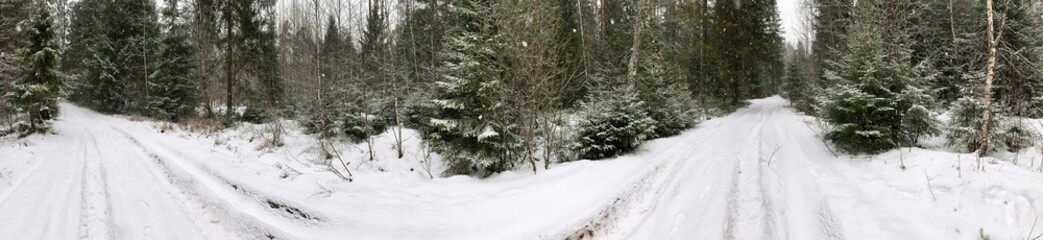 Panoramic view with forest and road. Beautiful winter landscape