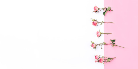 Frame of dried rose flowers on white and pink background. Flat lay, top view. Copy space for text.