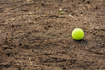 tennis ball is discarded on the ground.
