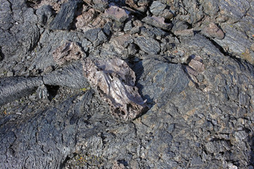 Lava field in Kamchatka peninsula, Russia