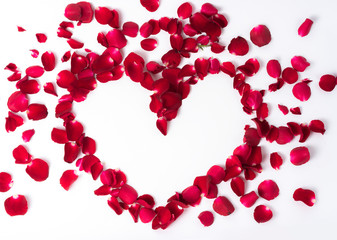 Red roses petal heart shaped  on white background