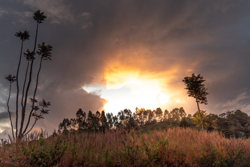 atardecer