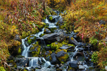 waterfall in garden