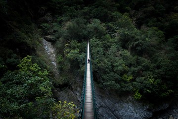 The bridge across the canyon in  forest